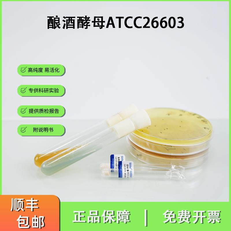 ATCC26603酿酒酵母 发酵糖蜜木材水解液 生产酒精标准菌株