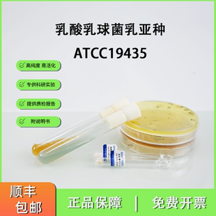 ATCC19435 乳酸乳球菌乳亚种 食品级酸奶发酵剂