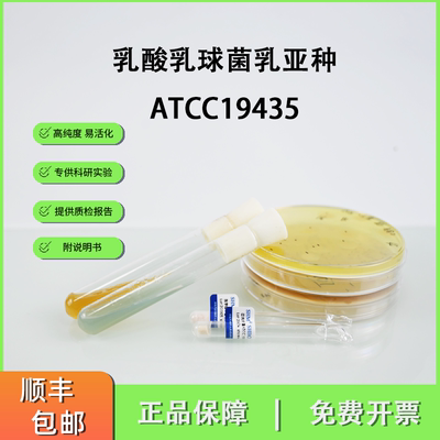 ATCC19435乳酸乳球菌乳亚种 测试培养基标准质控