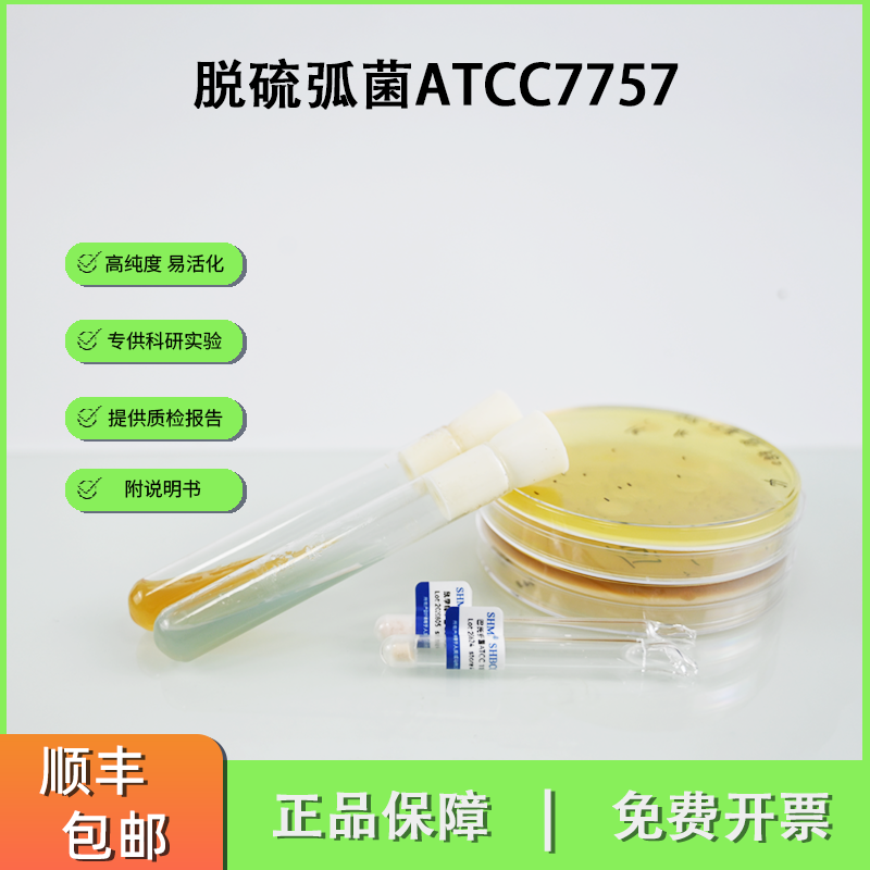 脱硫弧菌ATCC7757 硫酸盐还原菌SRB 腐蚀性工业水处理