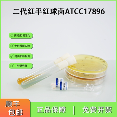 ATCC17896二代红平红球菌工业微生物 类固醇转化芳烃降解