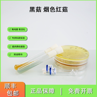 黑菇 烟色红菇  0代冻干粉食用菌 上海保藏科研现货