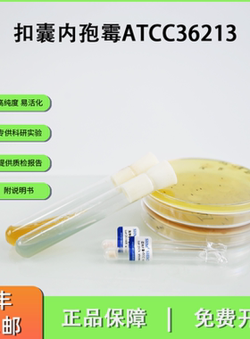 ATCC36213扣囊内孢霉 产葡萄糖淀粉酶菌株