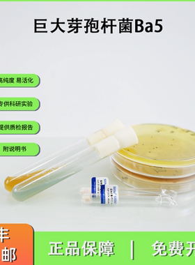 CGMCC1.217巨大芽孢杆菌Ba5  有机磷细菌肥料 标准菌株冻干粉