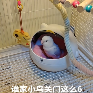 宠物鸟窝四季通用窝桌面垃圾桶高颜值迷你家用小号带盖垃圾篓ins