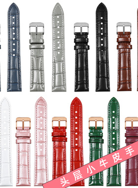 鳄鱼纹手表带 真皮表带男女通用黑/棕/蓝/绿/红/白/粉色牛皮表链配件代用华为watch gt4/3/2天梭卡西欧手表带