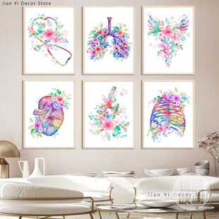 彩色人体医学解剖图挂画诊所诊室医疗机构装饰画医生办公室桌摆件