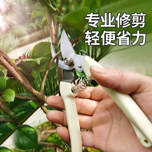 花艺修枝剪弹簧手动摘果剪修花农用专用剪刀园艺剪子修剪树枝工具