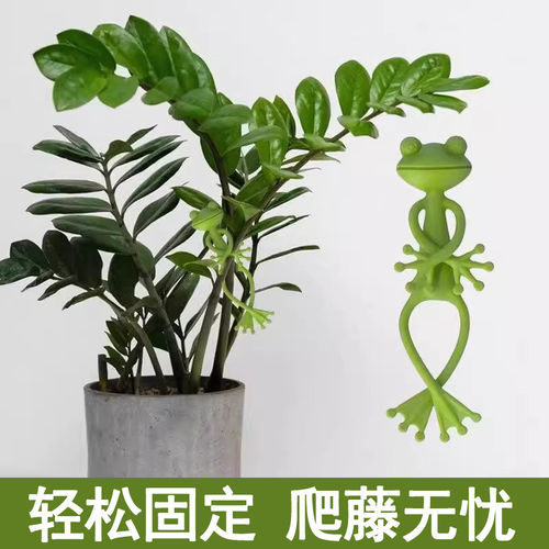 新款青蛙植物创意绿植园艺固定神器室外水培扶正器支架实用工具