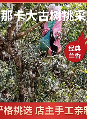 小班章 那卡古树 单株茶王级普洱生茶散茶26年头春预售1kg包邮