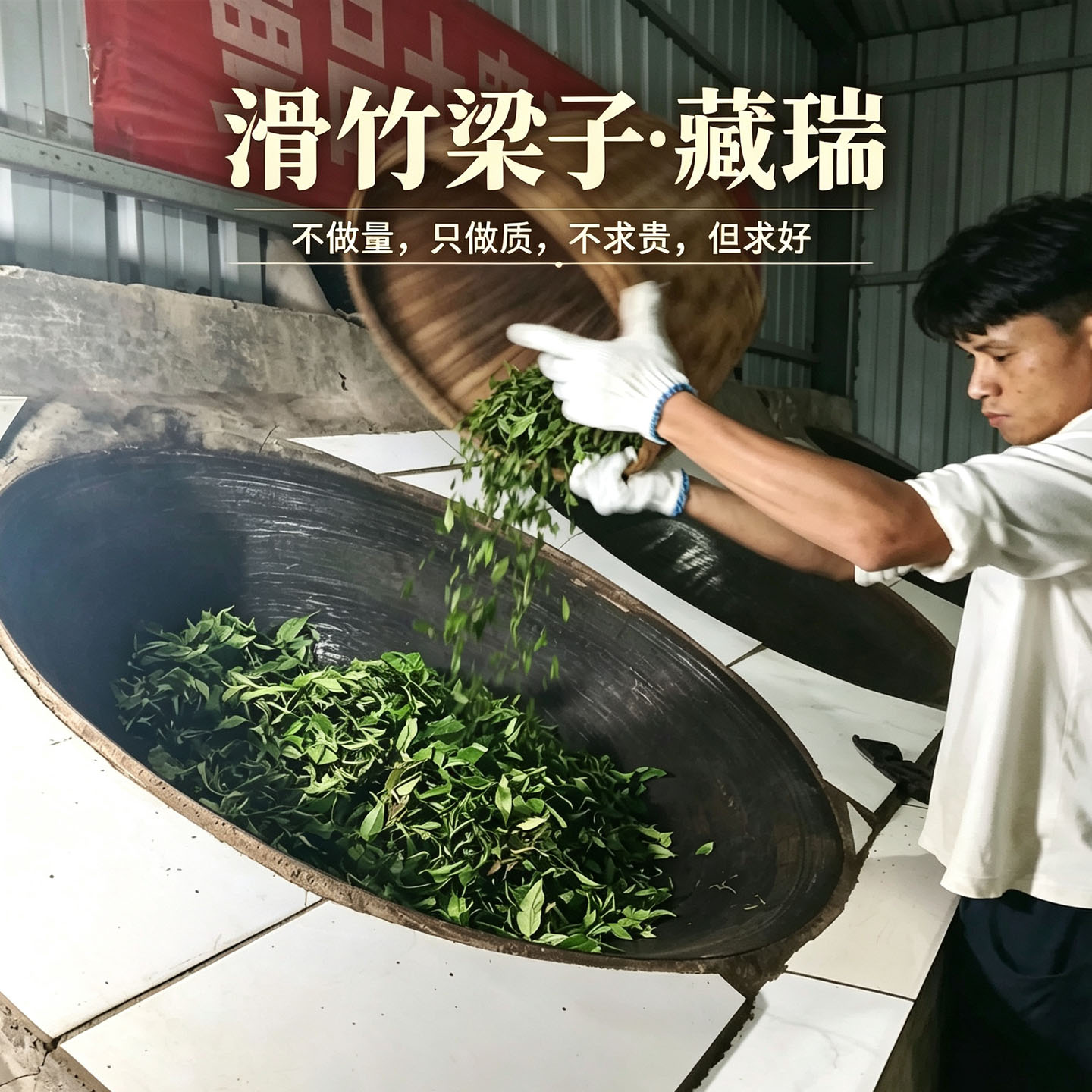 预售 滑竹梁子藏瑞 大树 老树普洱