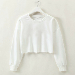 Long Color Sleeve Sweatshirt短款 卫衣 Short 纯色圆领长袖 Solid