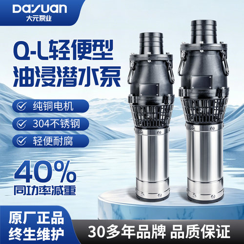大元不锈钢耐腐蚀大流量潜水泵