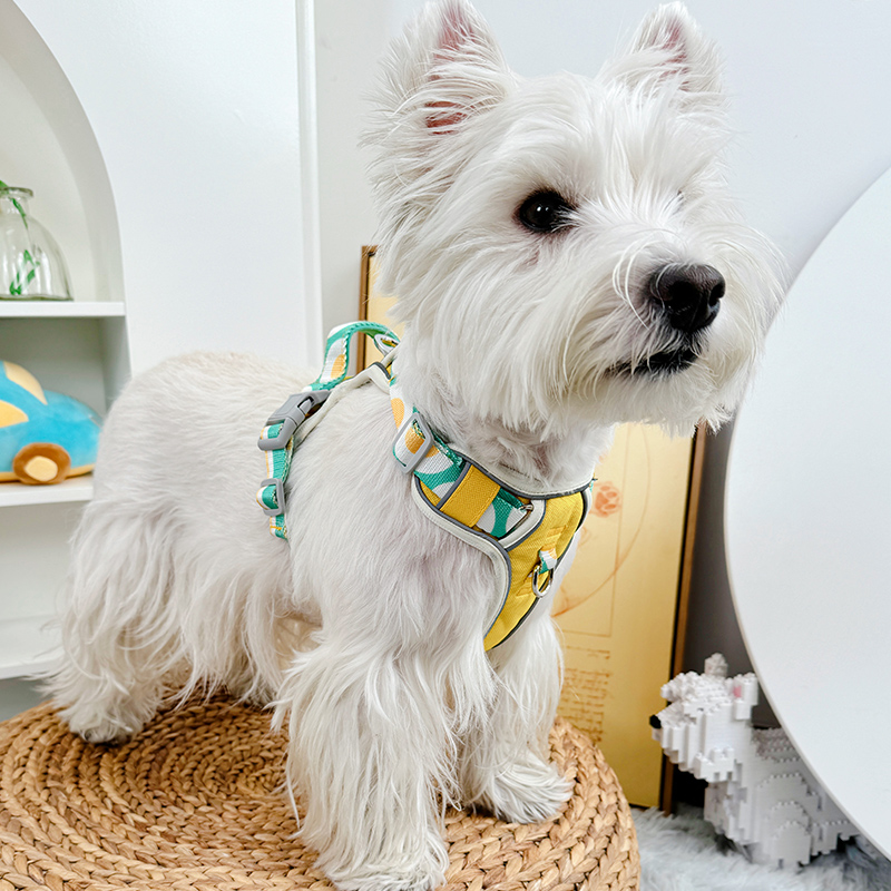 狗猫咪胸背式牵引绳防爆冲不勒脖