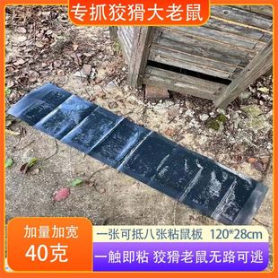 老鼠贴强力粘鼠板超强力胶粘大老鼠夹捕鼠神器灭鼠贴扑捉家用