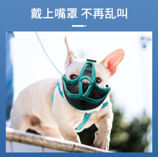 短嘴狗嘴套专用防叫防咬防误食透气斗牛犬法斗外出嘴罩头套止吠器