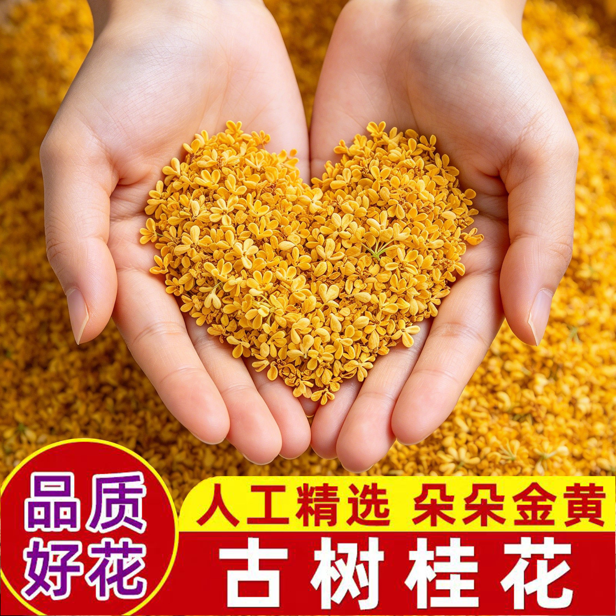 金桂花丹桂红茶广西桂林红桂花花茶桂花汾酒烘焙可食用特级新货