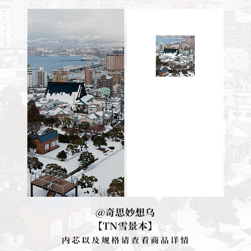 奇思妙想乌瑕疵本盐系笔记本原创日记本ins记事本简约清新彩页本