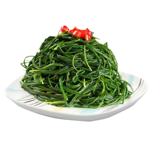 胡葱沙葱种子耐旱耐寒韭葱种孑小根蒜阳台盆栽野葱四季蔬菜籽大全