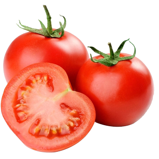 普罗旺斯西红柿种籽春四季大粉番茄种子超甜水果蔬菜庭院盆栽种孑