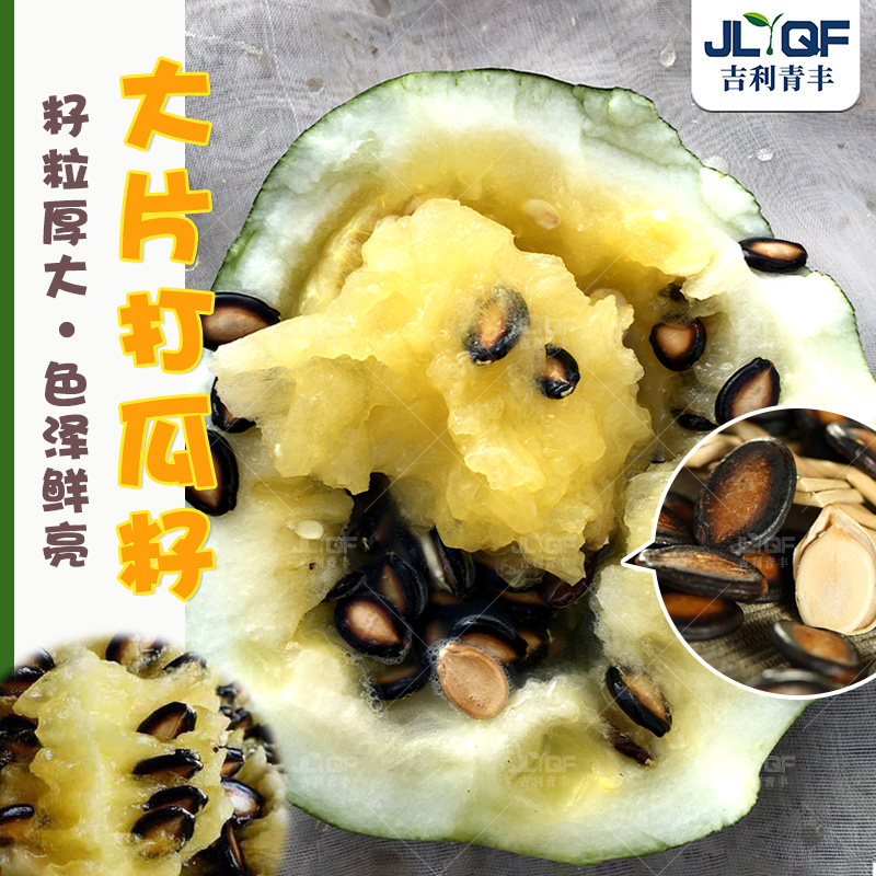 金粒黑丰打瓜种子高产黑皮黄瓤西瓜大片黑西瓜籽春夏四季水果种孑