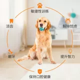 Резиновая игрушка, прыгучий мяч, домашний питомец