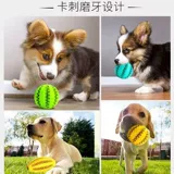 Резиновая игрушка, прыгучий мяч, домашний питомец