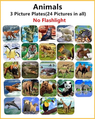 Replacement Pictures Plates (Flashlight is not included)