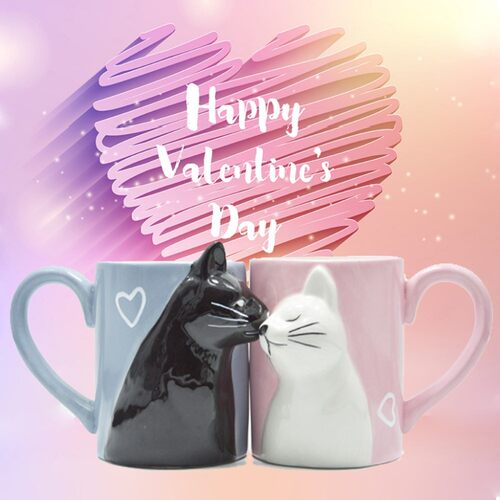 2pcs Ceramics Kiss  Cup Couple Mugs Lover Gift Morning