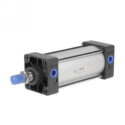 Cylinder 63mm Bore 100mm Stroke Screwed Piston Rod Pneumatic