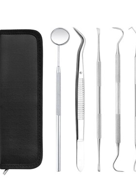 4/5 PCS Hand Tools for Tooth Scraper Kit Stainless Toothpast
