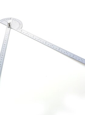 2*30 cm Goniometro Ruler Goniometer Stainless Steel Protract