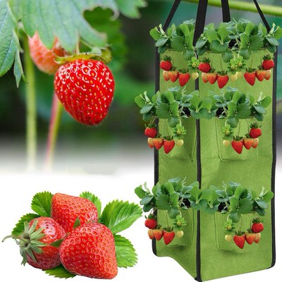 Hanging Growing Bags Felt Planting Bag Strawberry Planter wi
