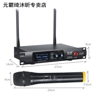Wireless Microphone System UHF Professional Karaoke Mic 2 Ch