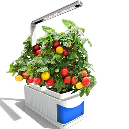 Indoor Herb Garden Kit Plant Grow Lamp Flower Vegetable Cult