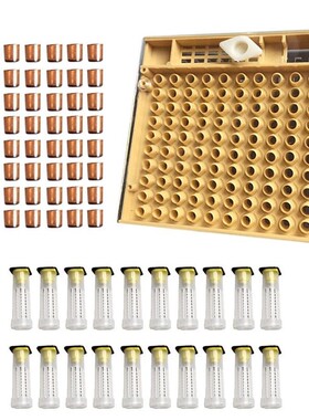 Beekeeping Tools Equipment Set Queen Rearing System Cultivat