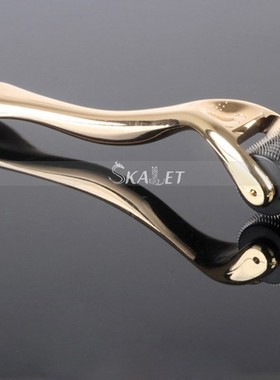 DRS540 Hot Hair Restoration Itanium Microneedle Derma Rolle