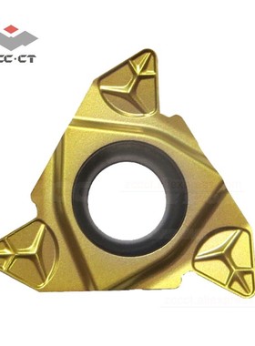 10pcs ZCC Threading Inserts RT22.01W-6.00GM YBG201 right han