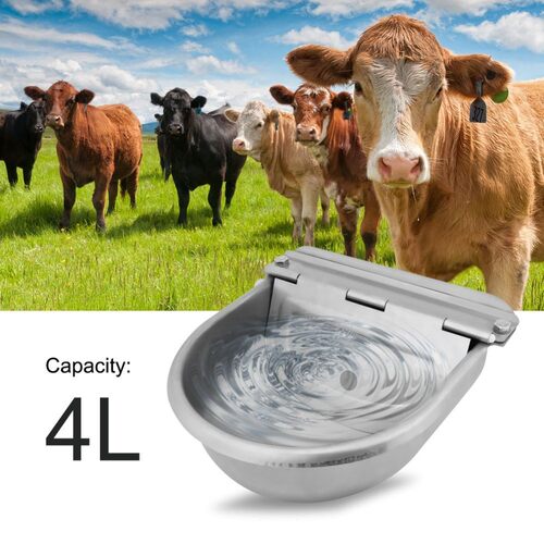 4L Stainless Steel With Drain Hole Drink Automatic Float Far