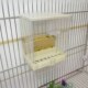 Small Automatic Size Bird 1pcs Feeder 10x12x7.5CM Poultry