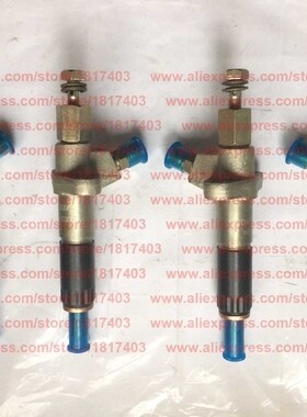 YND4B-10300 injector (P78-1) for Quanchai QC485T engine and