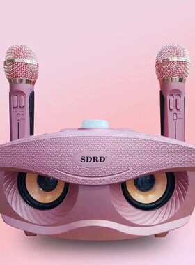 SD306 Dual Wireless Microphone Bluetooth Speaker Mobile Wir