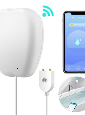 Water Monitor Smart Home Water Monitoring to Detect Leaks