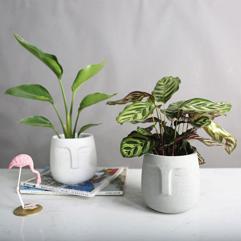 Creative face cement flower pot mould Nordic style Concrete