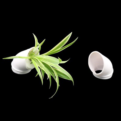 100 pcs DIY Hydroponic colonization cups Flower Container Pl