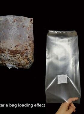 Root Mushroom Farm Mushroom Growing Bags Micron Filter Polyp