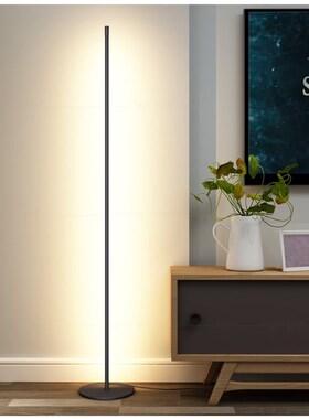 Nordic Floor lamp LED Strip Round  Floor Lights Post-modern