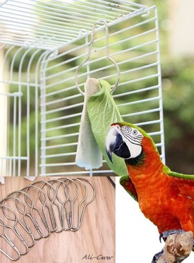 10 Pcs Parrots Birds Toys Food Cuttlefish Bone Hooks Pets Ha