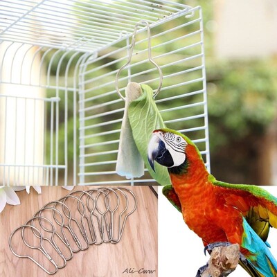 10 Pcs Parrots Birds Toys Food Cuttlefish Bone Hooks Pets Ha