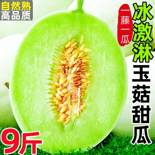 山东玉菇甜瓜当季新鲜水果整箱9斤香蜜瓜脆甜5冰激凌羊白甜瓜绿肉